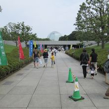 あのドームが水族園です