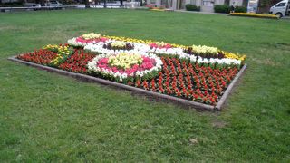 花フェスタの花壇がステキ♪