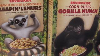 見てるだけで楽しい！