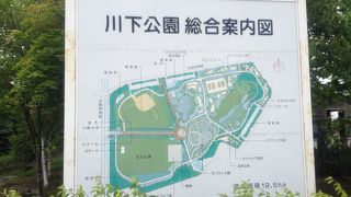 白石区初の総合公園