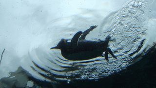 見所いっぱい！