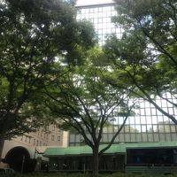 けやきに遮られ見にくくすみません