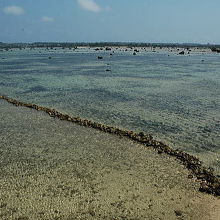 石積みが見事です