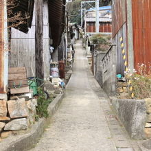 黒島の住宅メインストリート