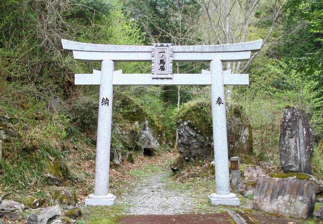 溶岩に包まれた鳥居