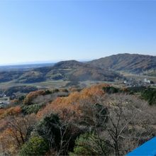 展望台からの眺め