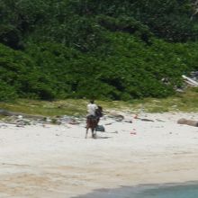 ナーマ浜と与那国馬