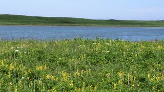 ちゃりでまわろう！