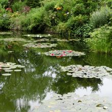 モネの絵そのまま