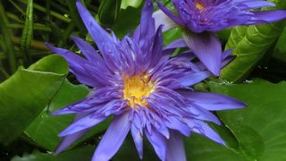 じっくり見るには半日以上必要！