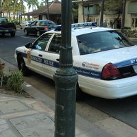 ポリスが至るところにいます