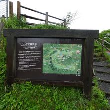 自生地の登り口，20ｍほど登るだけ