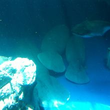 じっとしていました