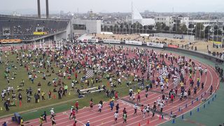 香川丸亀国際ハーフマラソン大会