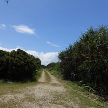 こんな道を走っていると、不意に・・注意して探してね。