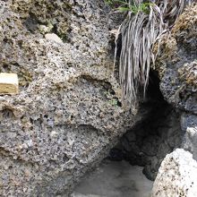 降りた先に、岩と岩の間に水がたまります。ここを拝します。