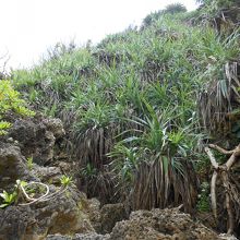 階段を降りた場所の風景は、また別の雰囲気・・・