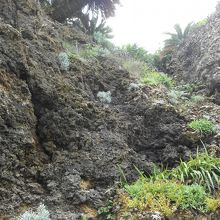 海と反対の景色もまた、自然そのもの！