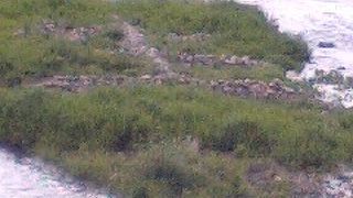 小説、阪急電車に登場する字！