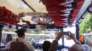 クワッ！クワァ！