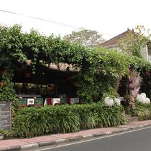 緑に覆われた雰囲気のある店構え