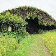 高知県の戦争遺跡