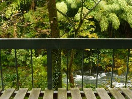 湯快リゾート　ホテル大黒せせらぎ亭 写真