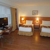 大雑把なつくりですが、ノビノビと寛げ、私は気に入りました。