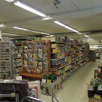 近くのスーパーMAXIMA。現地通貨がなくてもカード可です。