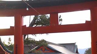 大吉が出る出る、しかし逆に不安　伏見稲荷