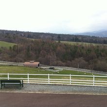 屋外から見える景色。