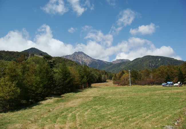 リフト登り口近くの草地。冬はゲレンデになるのでしょう。