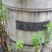 雑草が生えていました