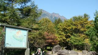 名前にひかれて立ち寄ってみましたが．．．