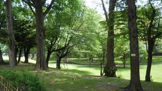 ６月のサクシュコトニ川 