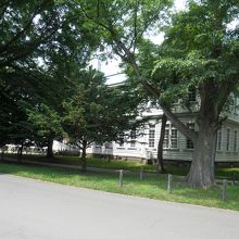 もう初夏の感じです