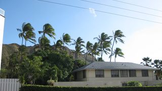 カフェもプレートランチも思う存分楽しめる