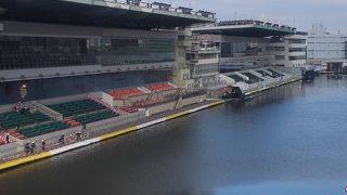 有料席でゆっくりやるのもいいかも