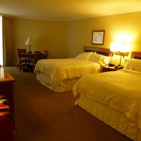 予想していたよりも広かった