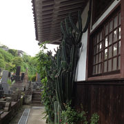 北鎌倉の静かなお寺