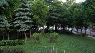 北海道大学から近い