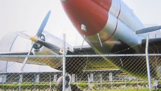 飛行機好きな子供から大人まで楽しめます。