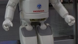 好奇心がくすぐられるようです