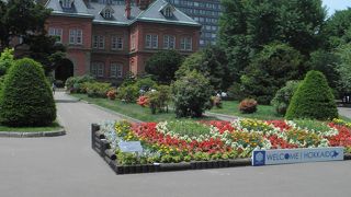 前庭の池にハスがびっしり