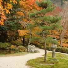 枯山水風庭園。