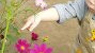 美味しいし綺麗だし