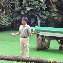 バードショー（歌うオウム）