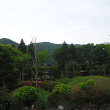 道の駅津山　緑いっぱいの所にあります。