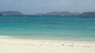 まさかウミガメと泳げるなんて