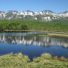 残雪が映える知床五湖